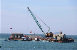 Đà Nẵng ứng phó với biến đổi khí hậu - Bài 2: Phục hồi rừng ngập mặn, chống sạt lở ven biển