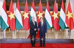 Việt Nam - Hungary thúc đẩy tăng cường tin cậy chính trị, mở rộng hợp tác song phương