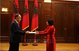 Thúc đẩy quan hệ hợp tác Việt Nam - Albania lên tầm cao mới