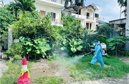 Xử lý kịp thời các ổ dịch, ngăn chặn sốt xuất huyết lây lan 