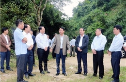 Cúc Phương khai thác tốt tiềm năng, lợi thế phát triển du lịch