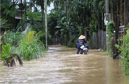 Đề phòng lũ quét, sạt lở đất ở 5 tỉnh, thành phố từ Quảng Trị đến Quảng Ngãi