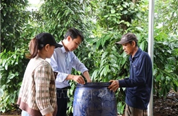 Đắk Lắk tăng tốc ngăn dịch sốt xuất huyết đang lan rộng