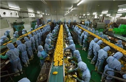 Giữ vững ổn định kinh tế vĩ mô, kỳ vọng tạo đà &#39;bứt phá&#39; năm 2025