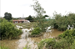 Mưa lũ tại miền Trung: Hơn 4.870 ha lúa, hoa màu bị thiệt hại