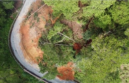 Lâm Đồng: Thuê tư vấn đánh giá, xử lý dứt điểm sạt lở trên đèo D’ran