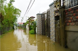 Mưa lớn kéo dài, nhiều địa phương tại Quảng Trị bị ngập sâu