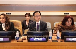 Việt Nam thúc đẩy thực thi hiệu quả hiệp định về đa dạng sinh học biển