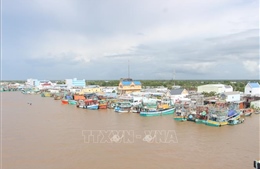 Khắc phục &#39;thẻ vàng&#39; IUU: Cà Mau ưu tiên xử lý dứt điểm các trường hợp vi phạm 