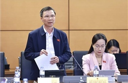 Cần có định hướng bảo vệ diện tích đất lúa tối thiểu của quốc gia