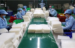 Chính phủ bãi bỏ toàn bộ hoặc một phần đối với 10 nghị định