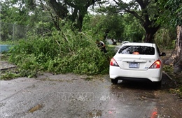 LHQ đẩy mạnh công tác khắc phục hậu quả của bão Melissa tại Cuba và Jamaica