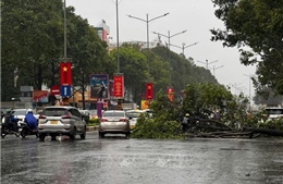 Kích hoạt cao nhất biện pháp phòng chống thiên tai tại Tây Nguyên