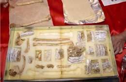 Phát huy tiềm năng di sản khảo cổ học ở Tràng An