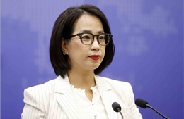 Bảo hộ công dân Việt Nam trong các đợt truy quét các tụ điểm lừa đảo trực tuyến