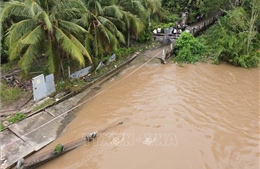 Vĩnh Long: Khẩn trương khắc phục sạt lở bờ sông Giao Hòa