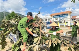 Khắc phục bão số 13: Chung tay ổn định cuộc sống người dân Đắk Lắk