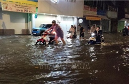 Triều cường cùng mưa lớn gây ngập sâu nhiều khu vực tỉnh Vĩnh Long