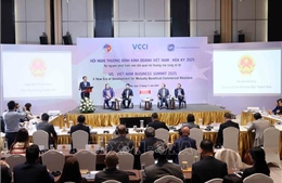 Hội nghị Thượng đỉnh Kinh doanh Việt Nam - Hoa Kỳ lần thứ 8