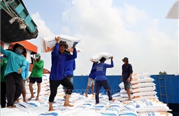 Giá gạo xuất khẩu đi ngang