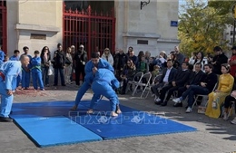Vovinam - Việt Võ Đạo trở thành &#39;sứ giả văn hóa&#39; tại châu Âu