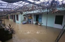 Gia Lai ra công điện yêu cầu chủ động ứng phó với mưa lũ