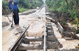 Bộ Xây dựng ra công điện bảo vệ cầu để giữ kết cấu hạ tầng đường sắt