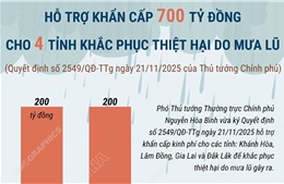 Hỗ trợ khẩn cấp 700 tỷ đồng khắc phục thiệt hại do mưa lũ