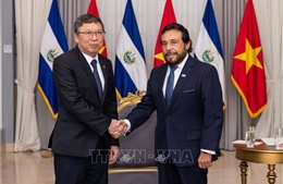 Tăng cường quan hệ hữu nghị truyền thống Việt Nam - El Salvador