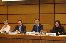 Việt Nam tham vấn về Hội nghị kiểm điểm Hiệp ước Không phổ biến vũ khí hạt nhân