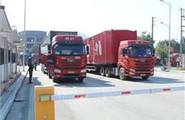 Khuyến cáo thực hiện đúng quy định khi giao dịch hợp đồng mua bán qua biên giới