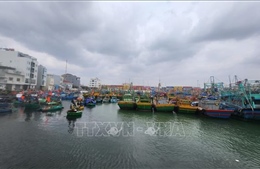 Gia Lai chủ động ứng phó bão số 15 theo phương châm &#39;4 tại chỗ&#39;