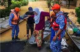 Malaysia: Hơn 33.000 người bị ảnh hưởng sau mưa lũ