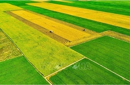 Kiến tạo những vùng quê đáng sống