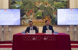 75 năm quan hệ Việt Nam - Trung Quốc: Tăng cường kết nối doanh nghiệp