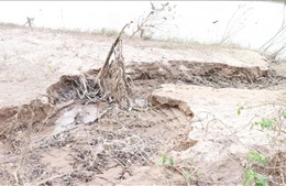 Sạt lở bờ sông Bồ diễn biến phức tạp trong mùa bão lũ