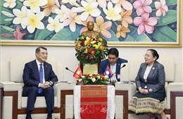 Tăng cường hợp tác tổ chức xây dựng Đảng giữa Việt Nam và Lào