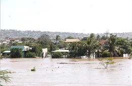 Thời tiết đêm 4 ngày 5/12: Cảnh báo xuất hiện lũ trên các sông từ Huế đến Khánh Hòa