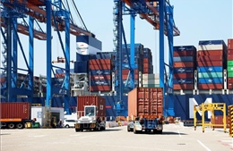 11 tháng, xuất siêu hơn 20,5 tỷ USD