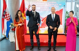 Bước phát triển mới trong quan hệ Việt Nam - Croatia