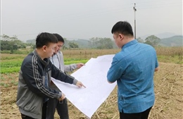 Đẩy nhanh giải phóng mặt bằng dự án đường sắt Lào Cai - Hà Nội - Hải Phòng