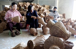 Đa dạng sinh kế giúp phụ nữ thoát nghèo bền vững