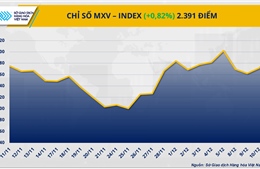 Dòng tiền chảy mạnh vào thị trường hàng hóa: Bạc phá đỉnh, ca cao tăng phiên thứ 5