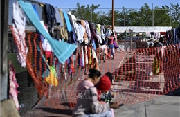 Mỹ điều chỉnh chiến thuật truy quét nhập cư trái phép, tập trung vào trọng phạm