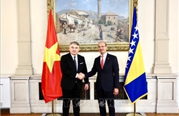 Bosnia & Herzegovina đánh giá cao vị thế ngày càng tăng của Việt Nam