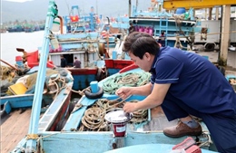 Bước chuyển gỡ 'thẻ vàng' IUU - Bài 2: Thời điểm quyết định tuyên chiến với vi phạm IUU