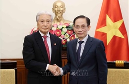 Bộ trưởng Ngoại giao Lê Hoài Trung tiếp Thống đốc tỉnh Tochigi 