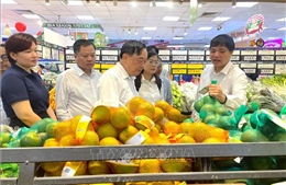 Siết chặt kiểm soát chất lượng nông sản - thực phẩm dịp Tết