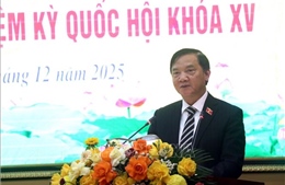 Cần cụ thể hóa và tổ chức thực hiện hiệu quả các Luật