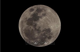 Nga xác định vị trí xây tổ hợp trạm nghiên cứu trên Mặt Trăng    